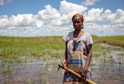ActionAid Mozambique is providing resilient varieties of seed to those most affected by the climate emergency